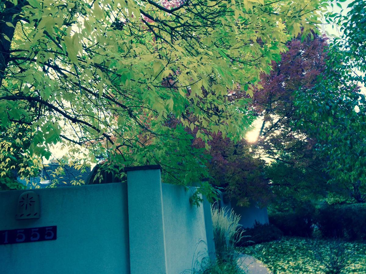 Like Home But Better! A Boulder Favorite!! Exterior photo